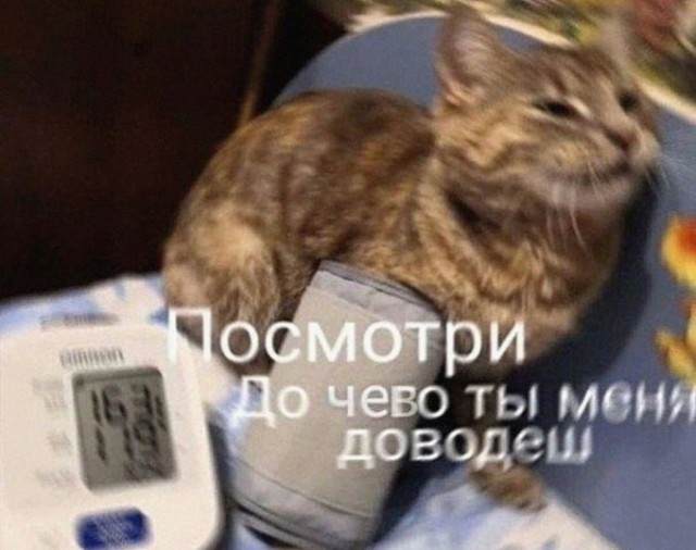 Бредзона 10.10.2021
