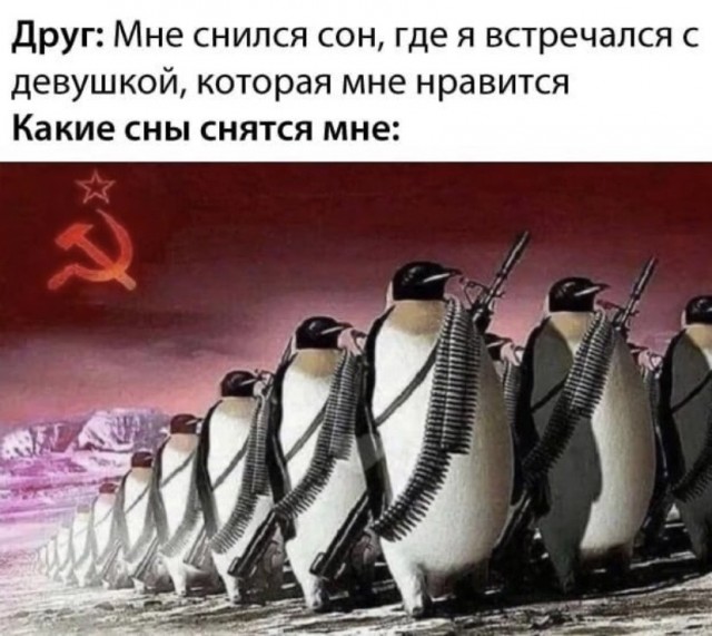 Всяческие картинки 17.11.2021