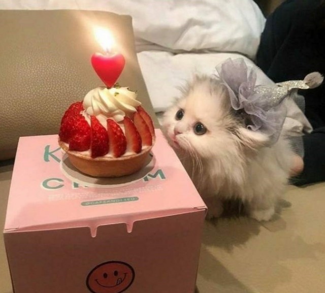 Подборка картинок и мемов для поднятия настроения