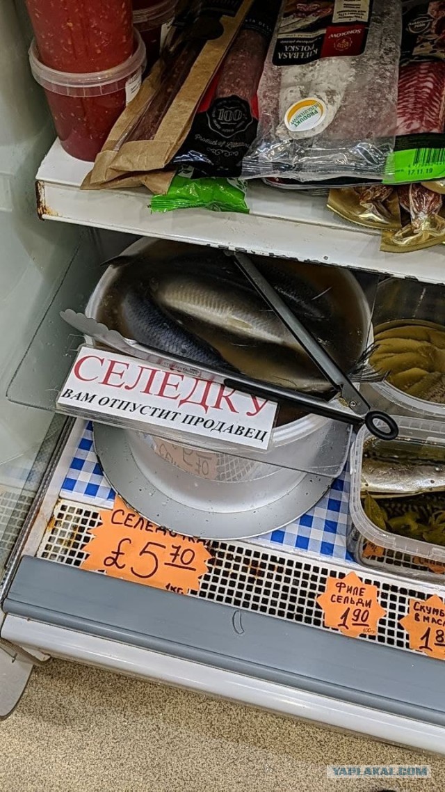 Капитан Очевидность продолжает вести наблюдение