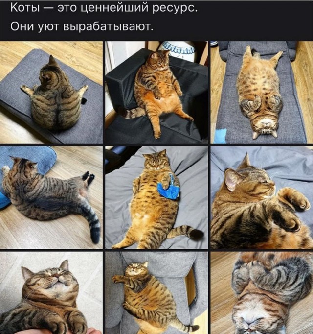 Просто позитив