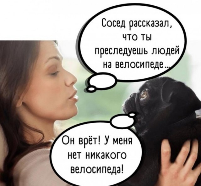 Так себе картинки 10.04.22