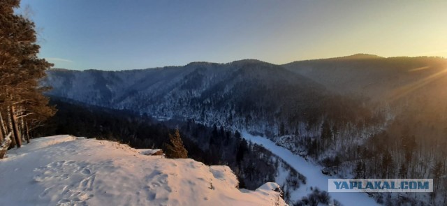 Красноярская тайга