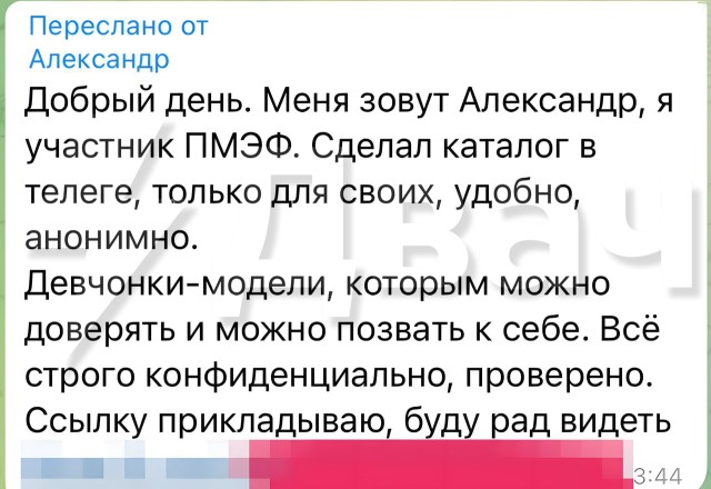 По полям ПМЭФ табунами ходят эскортницы