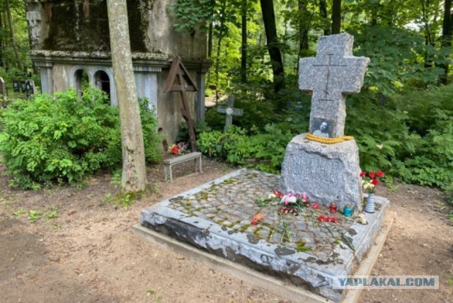 Алексей Балабанов