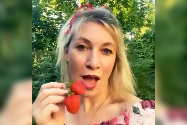 Глава Запорожской области подписал распоряжение о проведении референдума