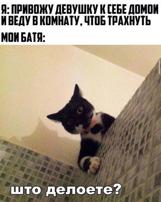 Немного мемчиков. Для взрослых 18+. Часть 12