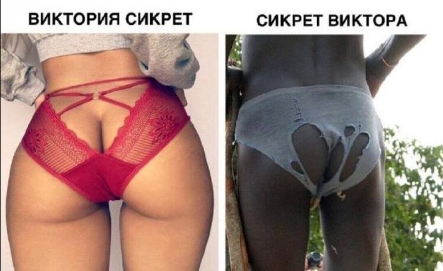 Так себе картинки 25.11.22