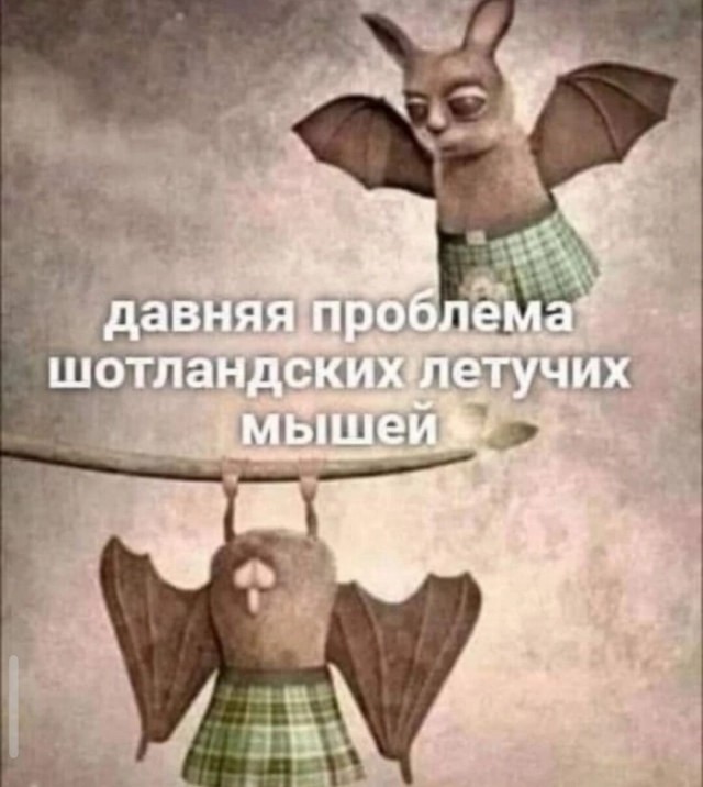 Юмор в картинках и без 27.11.2022
