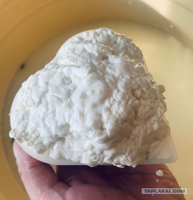 Варим качотту дома. Самый простой рецепт