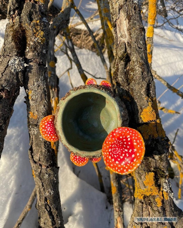 Красота из керамики