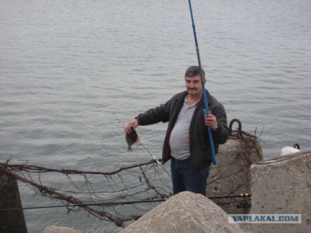 Пиллау, Балтийская коса, аэродром, форт и лебеди