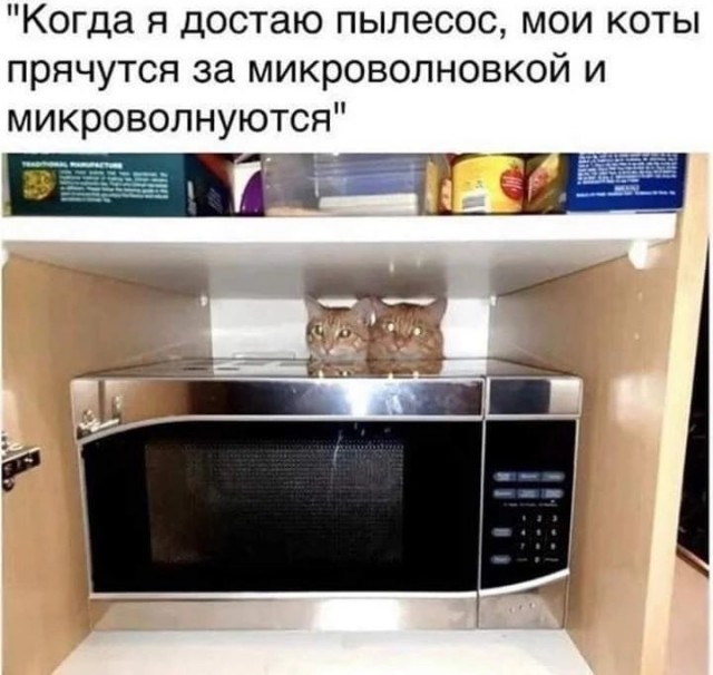 Немного разных картинок 13.05.23