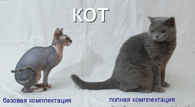 Четвёртая подборка самых баянистых баянов! Ностальгируем...