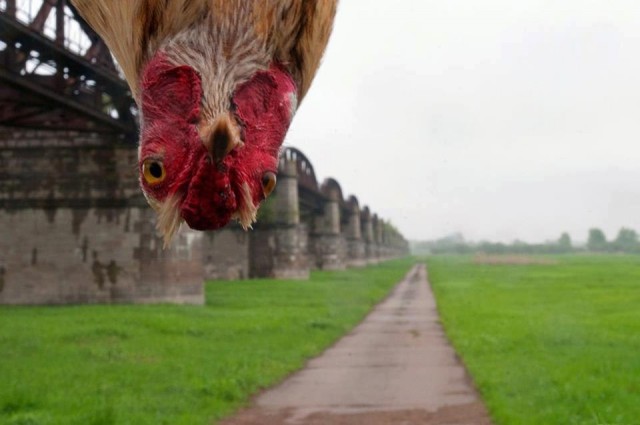 Мастер маскировки