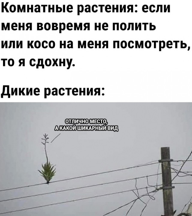 Так себе картинки 30.05.23