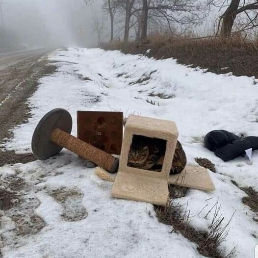 Так выглядит предательство