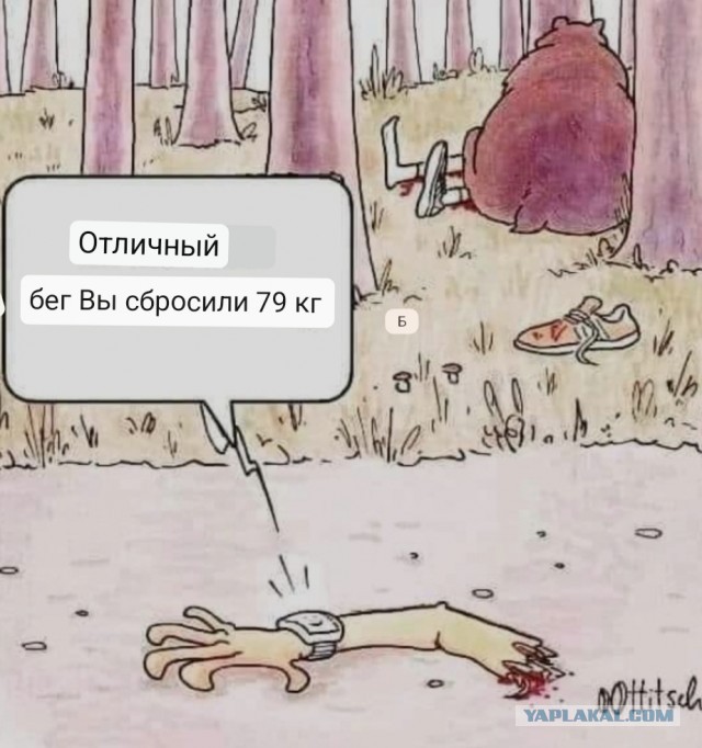 Мишустин на встрече с Путиным сообщил: