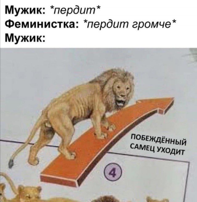 Отряд быстрого деградирования