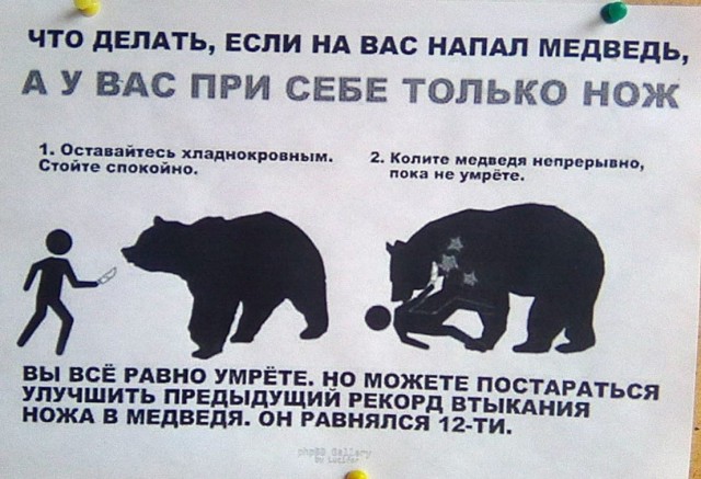 Никто не смеет мешать твоему отдыху, если у тебя всего два выходных в месяц