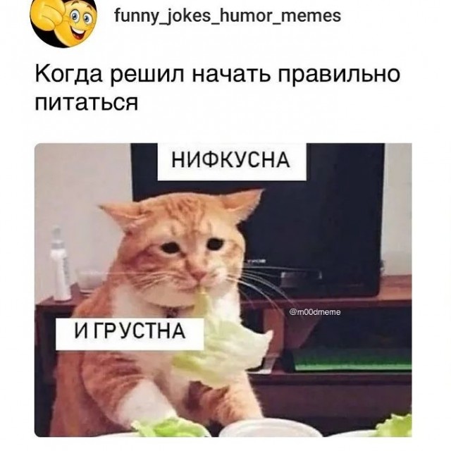Отряд быстрого деградирования