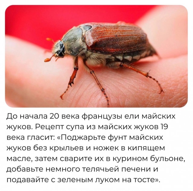 Народная меДИЧина 5014