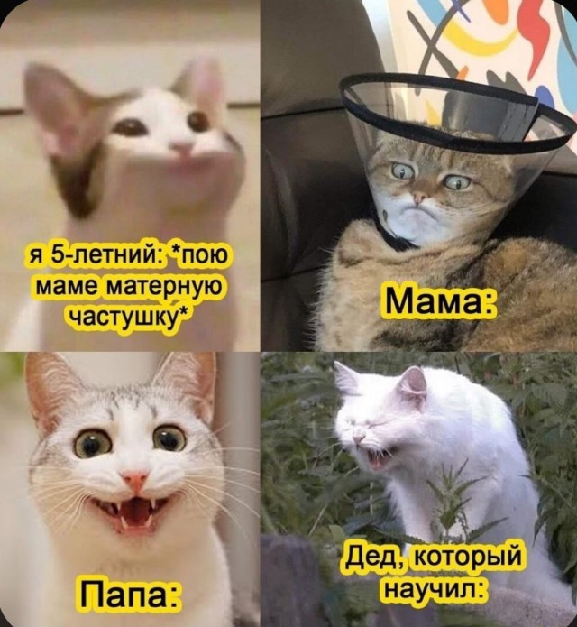 Дурдом (Бояны)