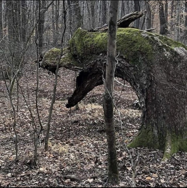 Подборка интересных и веселых картинок 13.02.24