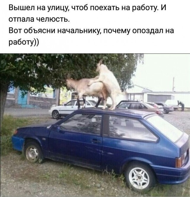 Юмор в картинках и без 26.03.2024
