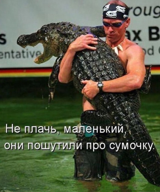 Завалялось тут случайно немного забавных картинок