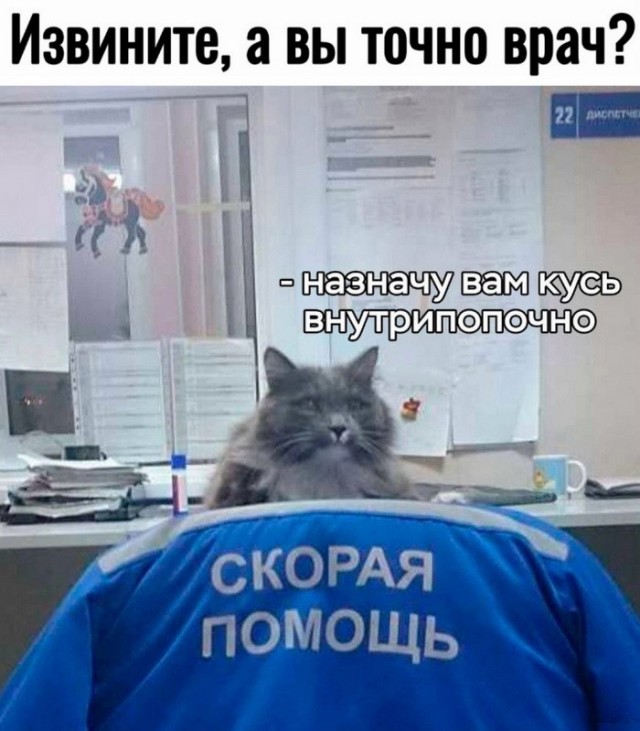 Завалялось тут случайно немного забавных картинок