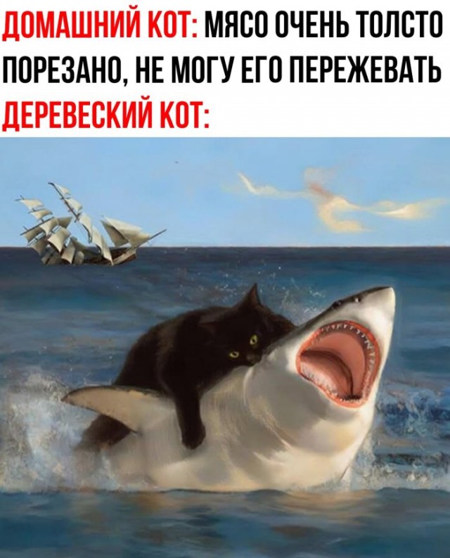 Веселые картинки к пятнице (22.11)