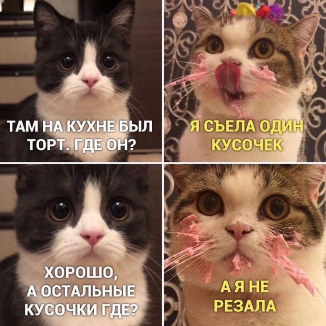 Завалялось тут случайно немного забавных картинок
