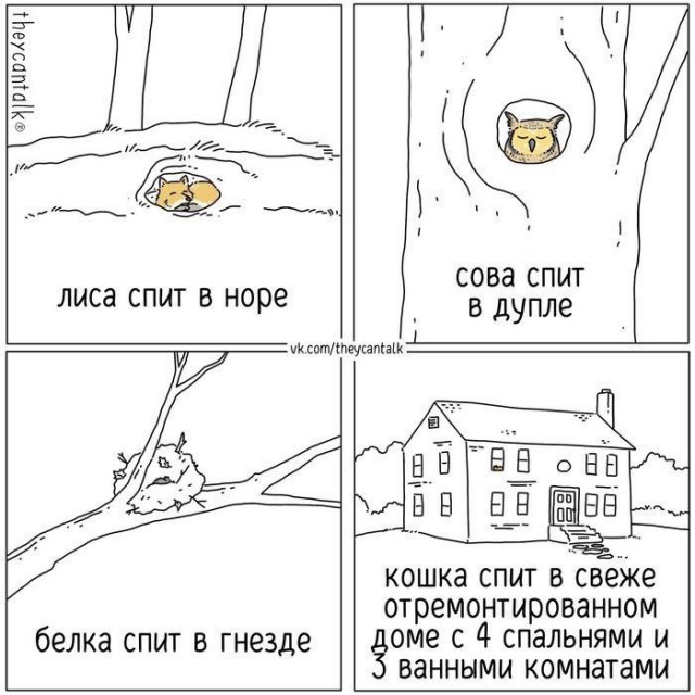 Всего понемногу. От 06.02