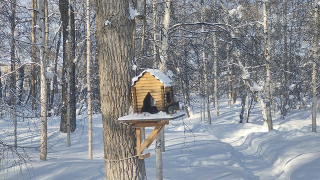 Красивое фото из телефона