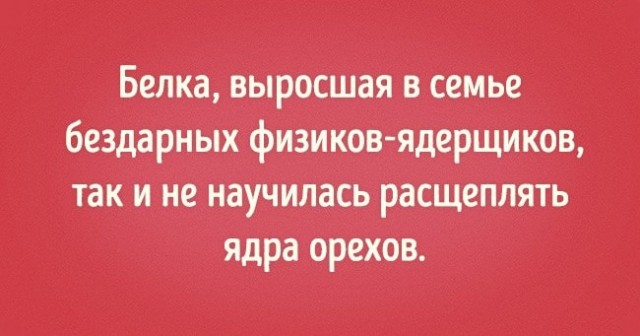 Давайте немного "физики шутят"?