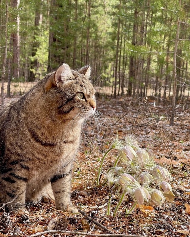 Не май месяц!⁠⁠