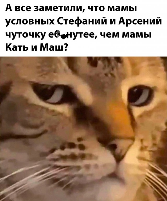 Так себе картинки 14.05.25
