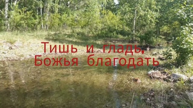 Трамп и Маск ссорятся в "прямом эфире" в Твиттере