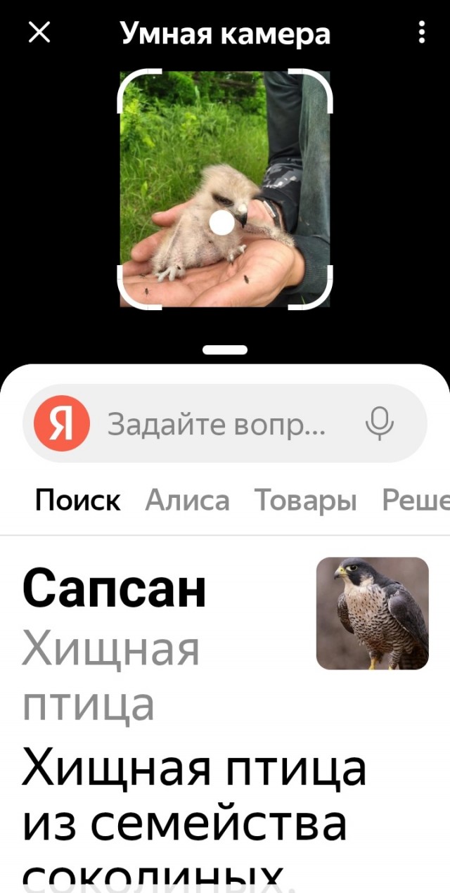 Упал на голову