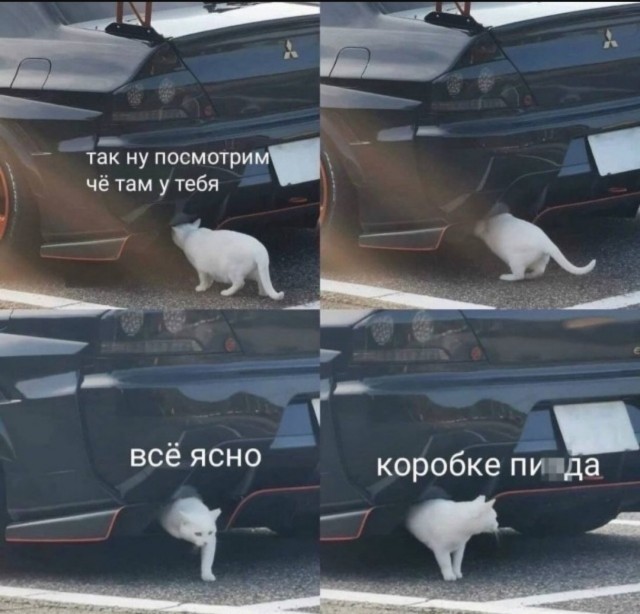 Так себе картинки 23.06.25
