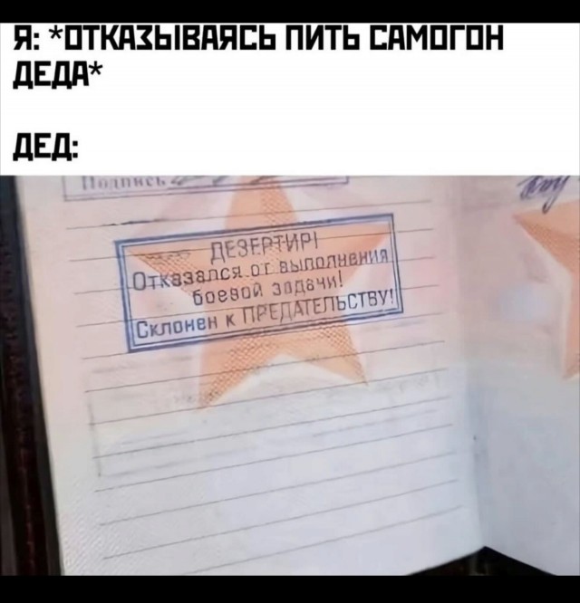 Весёлый полтишок 08.07.25