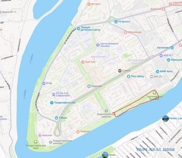 Краснодарец поливал деревья в 40-градусную жару водой из реки Кубань и получил за это штраф