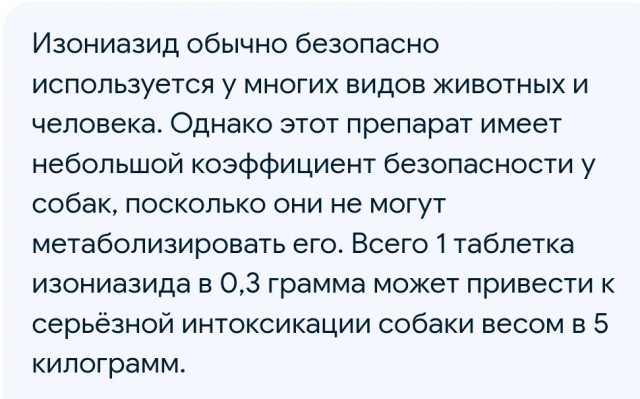 Колбасу с неизвестными таблетками внутри нашли на площадке для выгула собак на северо-востоке Москвы.