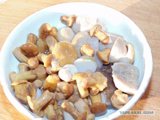 Лисички маринованные, Запасаюсь на зиму