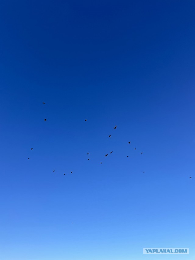 Деревенская Америка - 10
