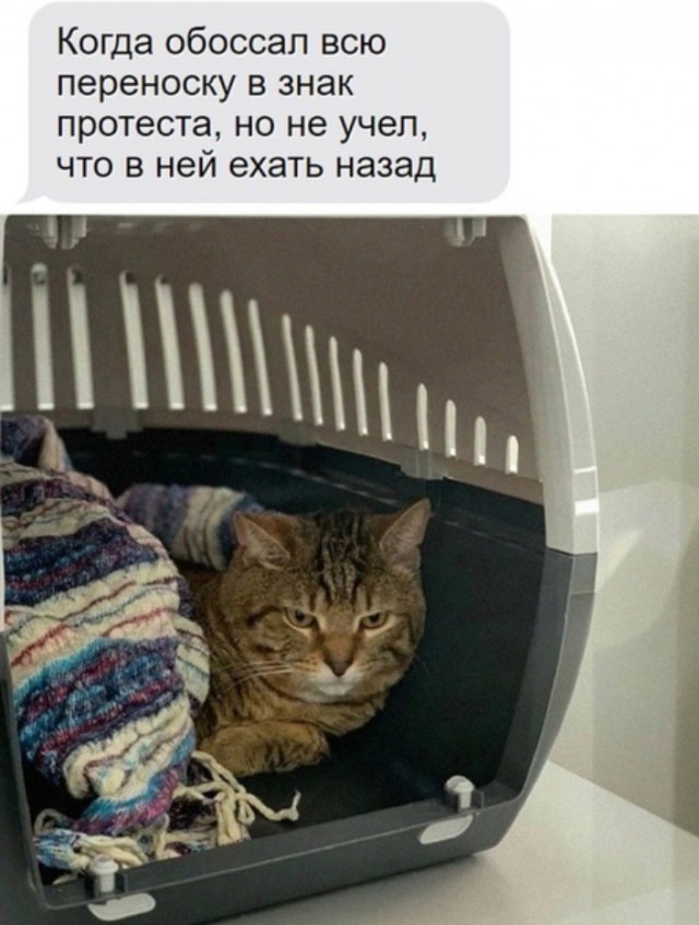 Особо опасный клиент