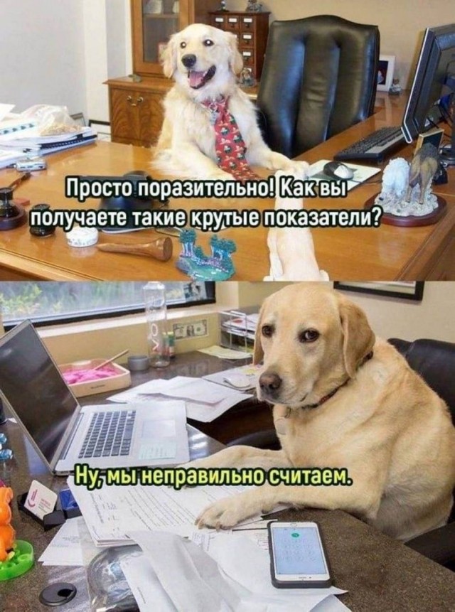 Картинки для деградации 104 (разной степени свежести)