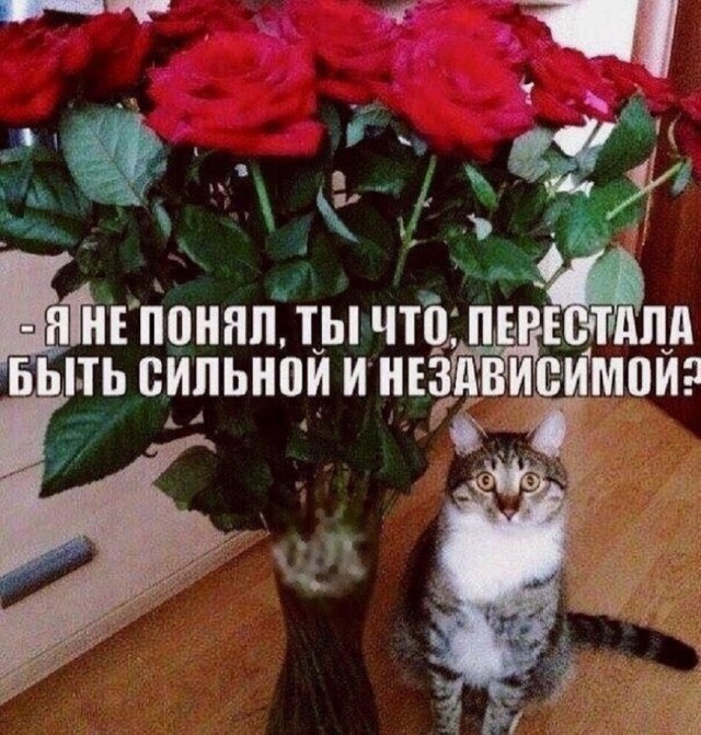 Так себе картинки 13.12.25