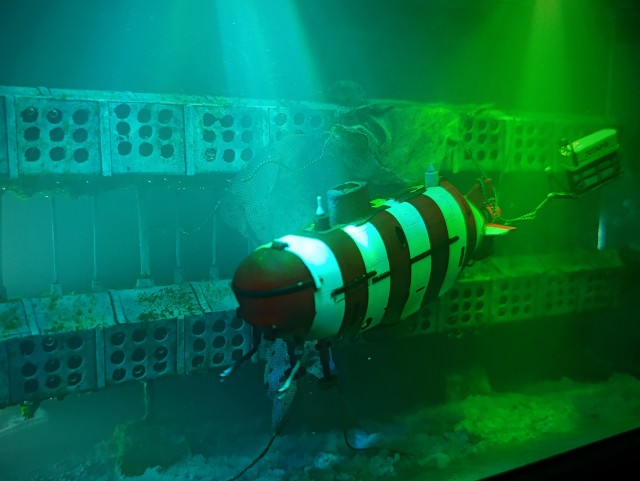 Русские моряки попали в ловушку.